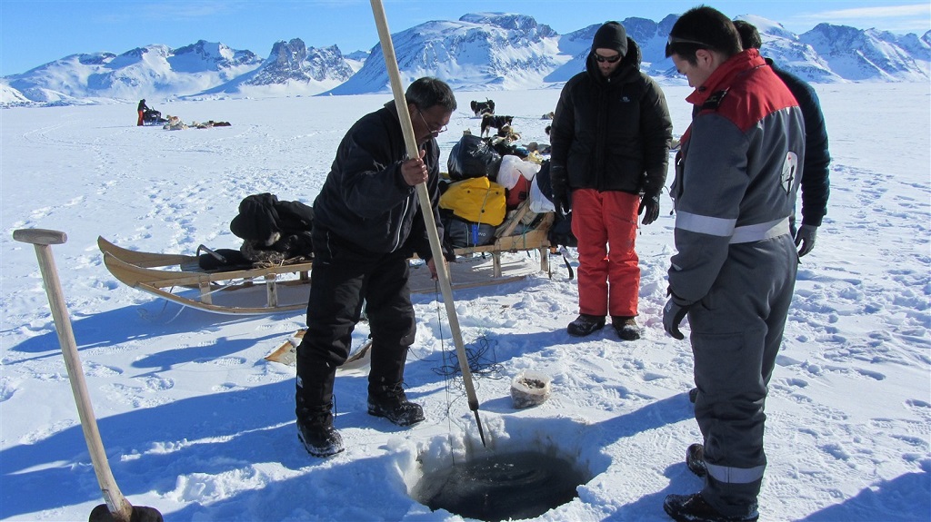  Expédition en traineau à chiens au coeur des Fjords de Sermiligaq, Groenland