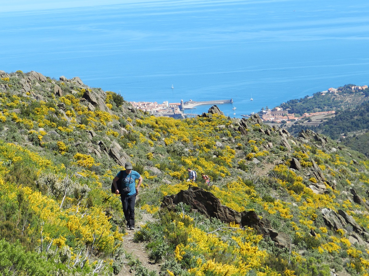 Randonnée sur les hauteurs de Collioure, France © Mabrouk Hamrit