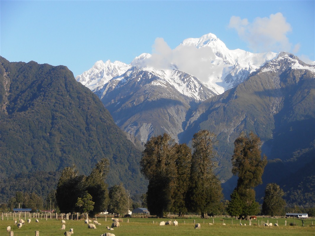 Le Mont Aoraki-Cook sur l'Île du sud 