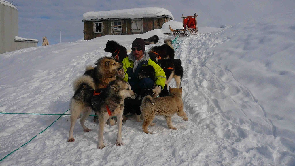 Toujours en compagnie de mes chiens de traineau - ©Michel Aubibert