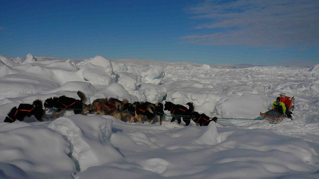 Mes déplacements en traîneau à chiens - ©Michel Aubibert