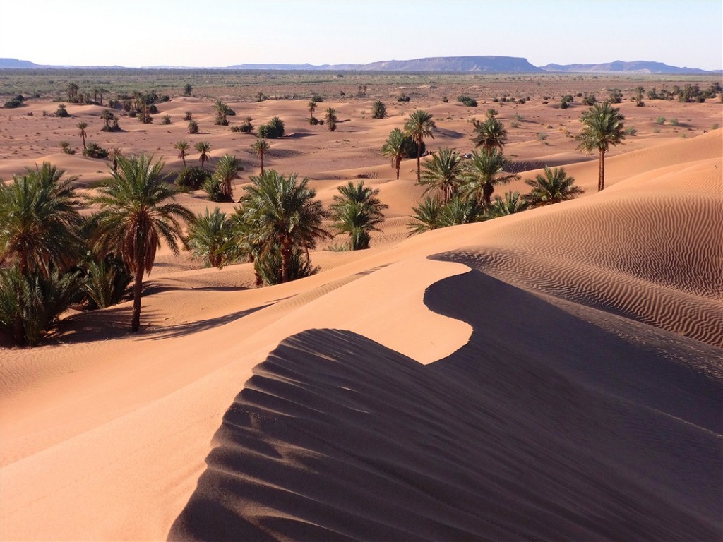 Dunes de la vallée du Drâa - ©Florent Leclerc