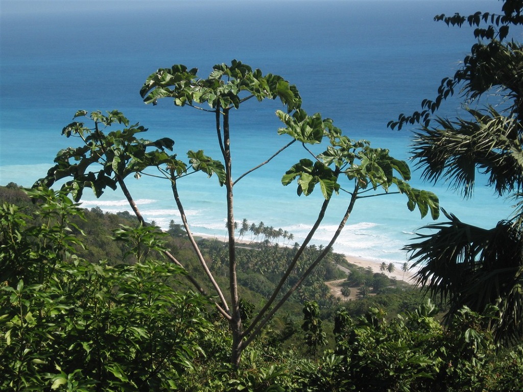 Plage près de Cachote, République Dominicaine