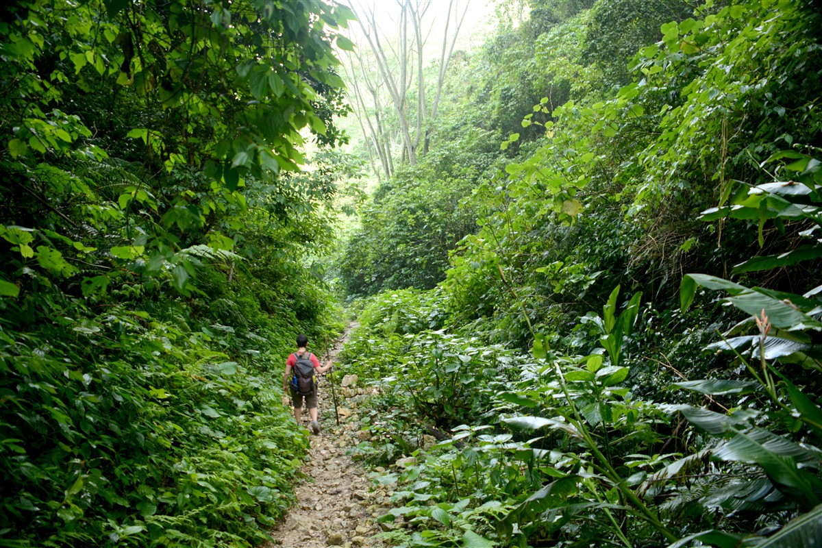 Randonnée de Cachote à Polo - Sierra de Bahoruco, République Dominicaine