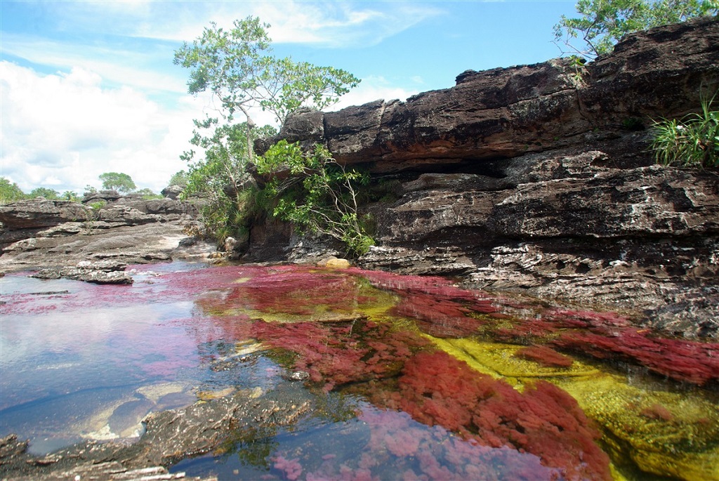 Rivière colorée de Caño Cristales 