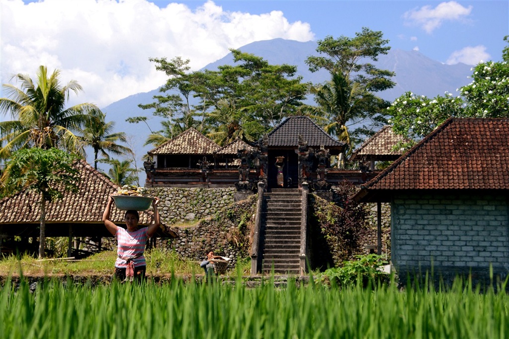 Vallée de Sidemen, Bali