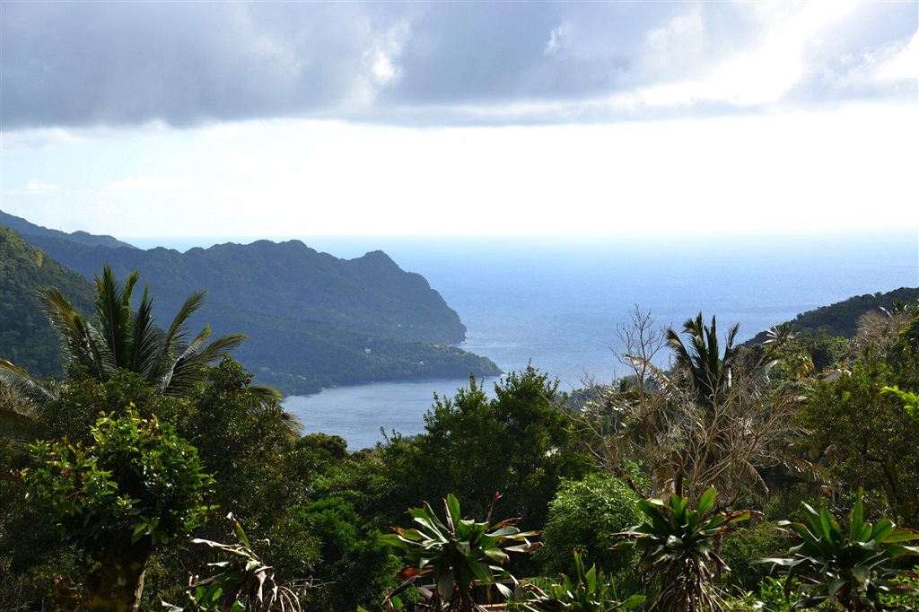 Vue sur l'océan, Dominique