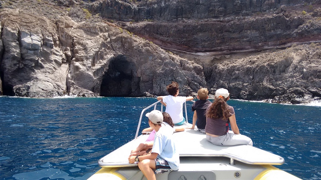 Observation des dauphins, La Gomera