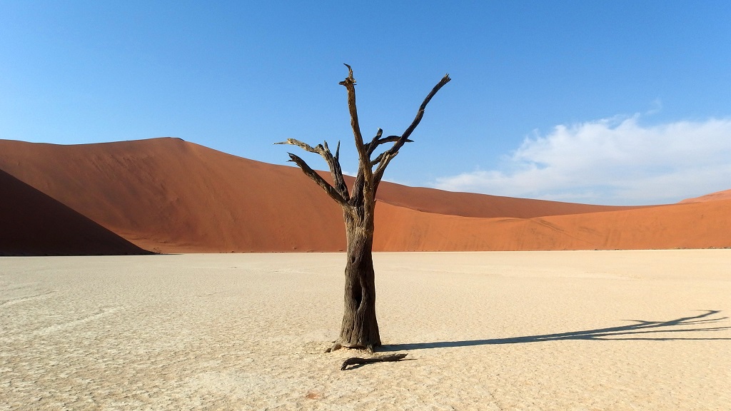 Dead Vlei, Désert du Namib