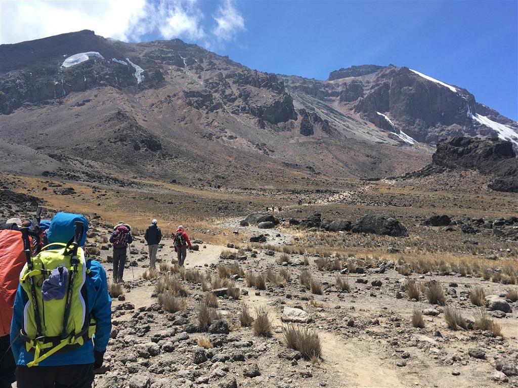 Kilimandjaro, voie Machame