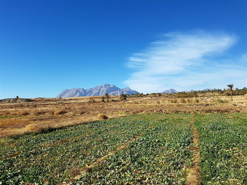 Bayazieh, Province de Yazd