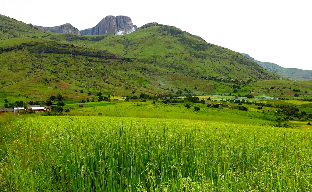 Vallée de Tsaranoa - Parc national d'Andringitra - Madagascar