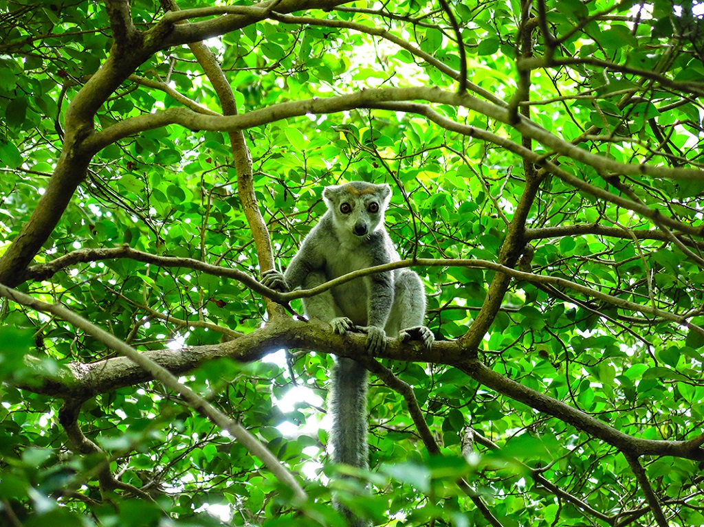 Rencontre opportune en levant la tête