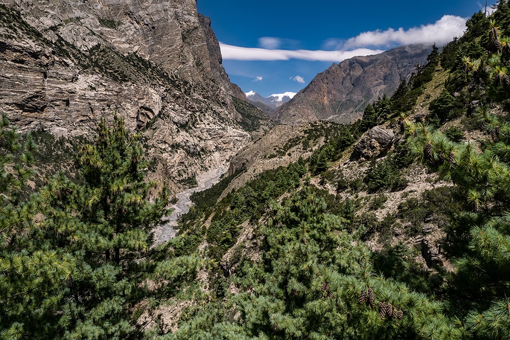 Du Saribung au Manaslu