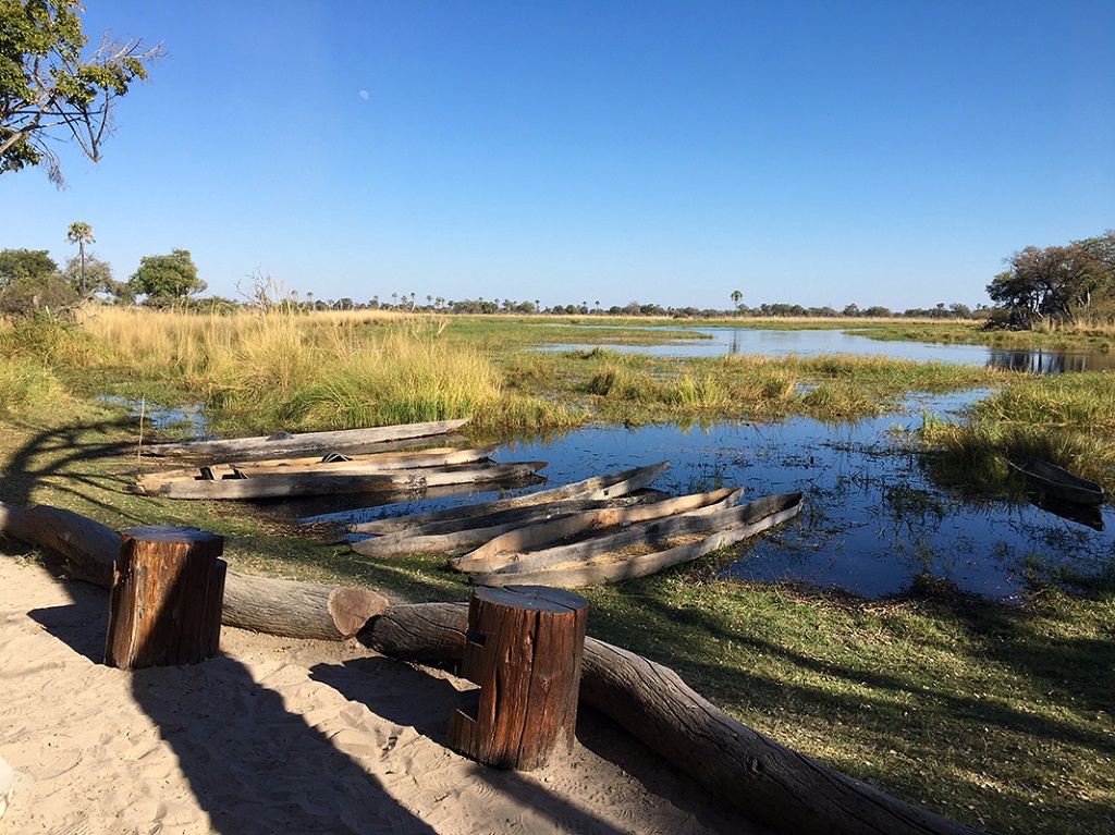 Delta de l'Okavango, Botswana