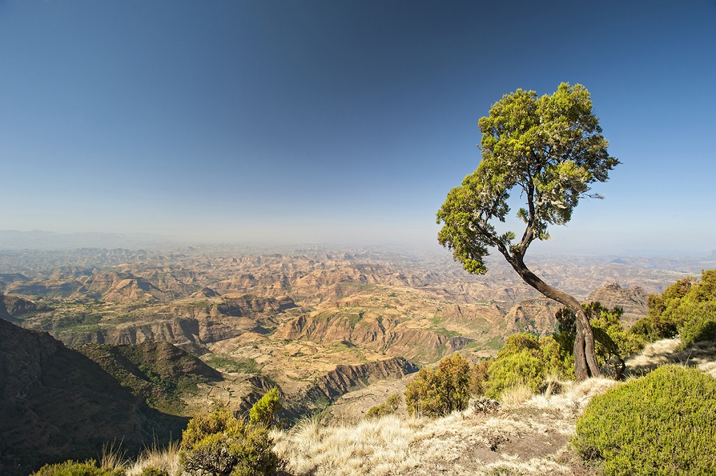 Montagnes du Simien