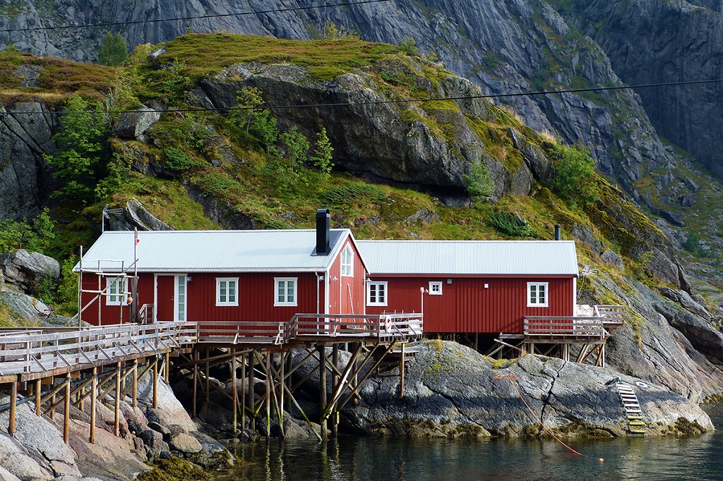 Rorbus, Îles Lofoten