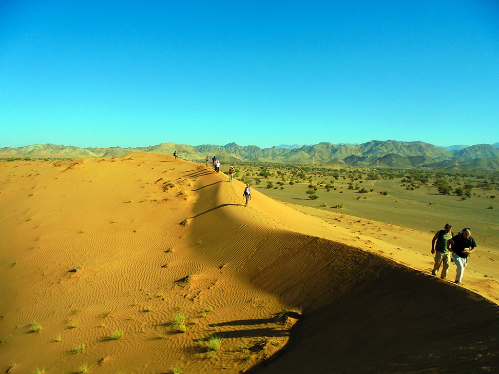 Désert Taamer, Oman