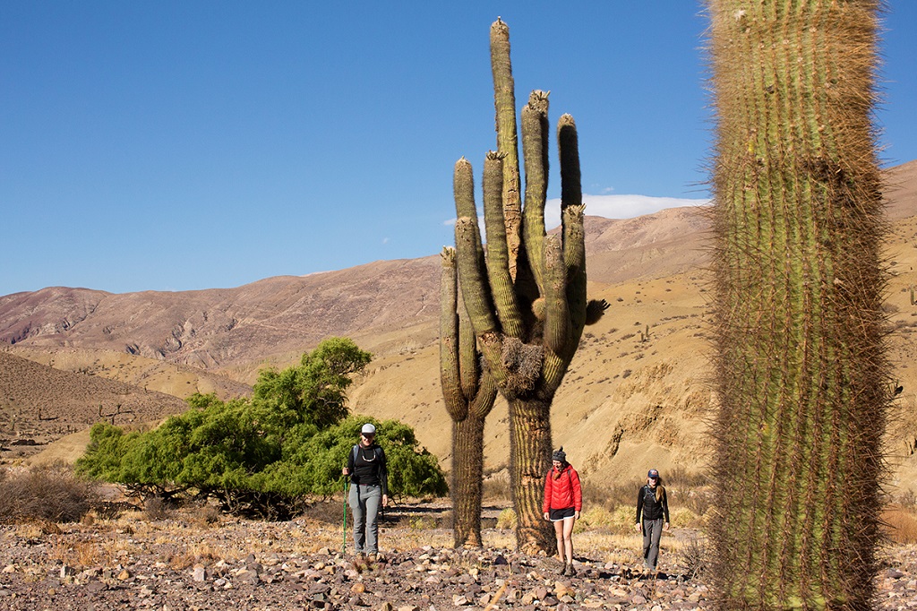 Les paysages de Salta