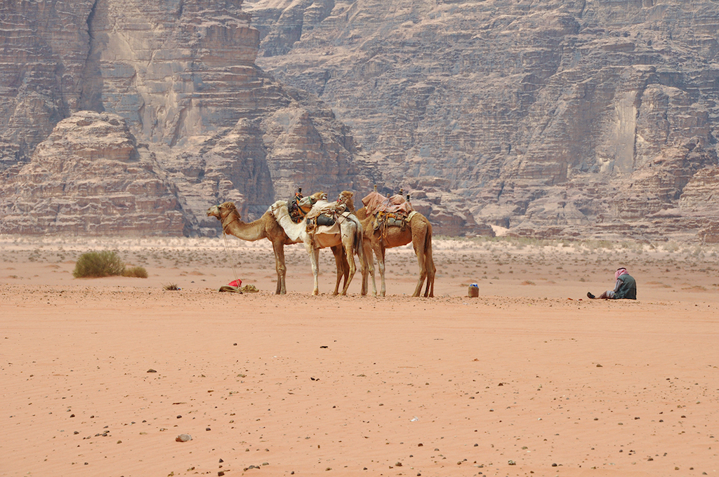 Dans le wadi rum - ©Thibaut Fonvielle