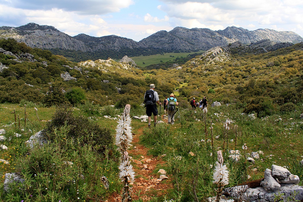 Sierra - Grazalema - Espagne