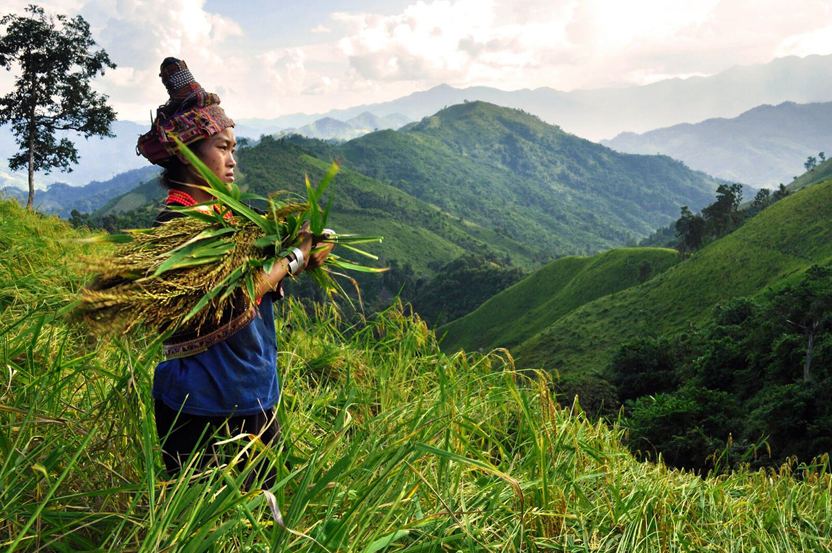 Ethnie Akha, Muang Khua - ©Cyril Eberle