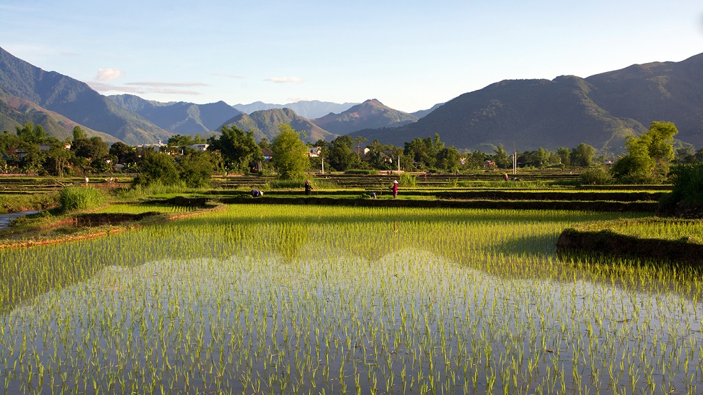 Nghia Lo - Vietnam