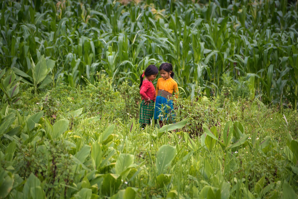 Meo Vac - Vietnam