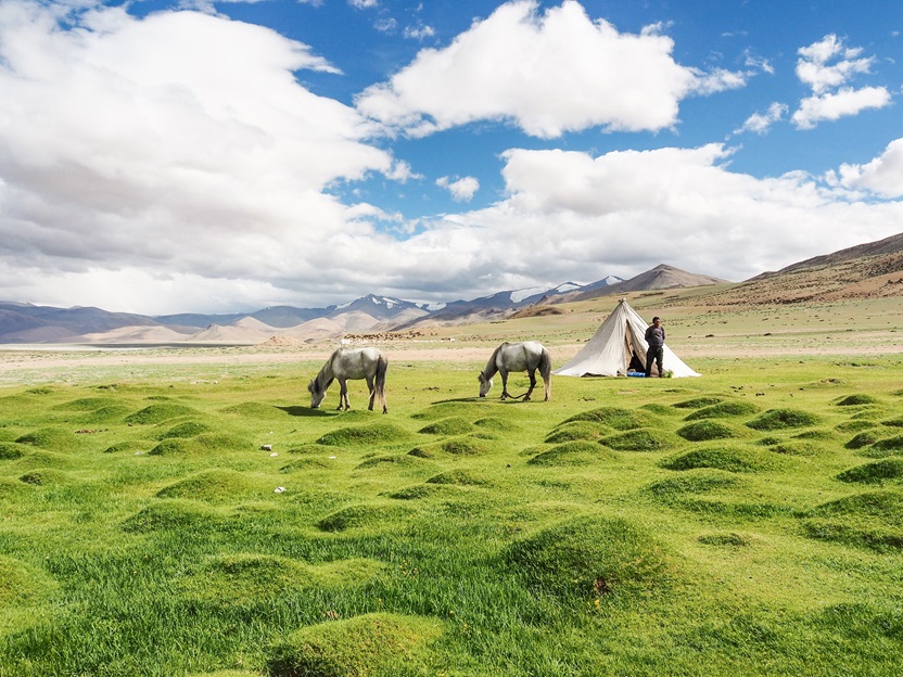 Muletier au campement de Pongunagu, Ladakh © Thomas Callens