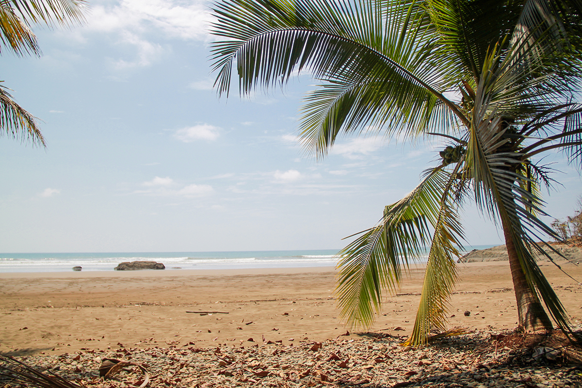 Plage du Pacifique - ©Audrey Midrouet