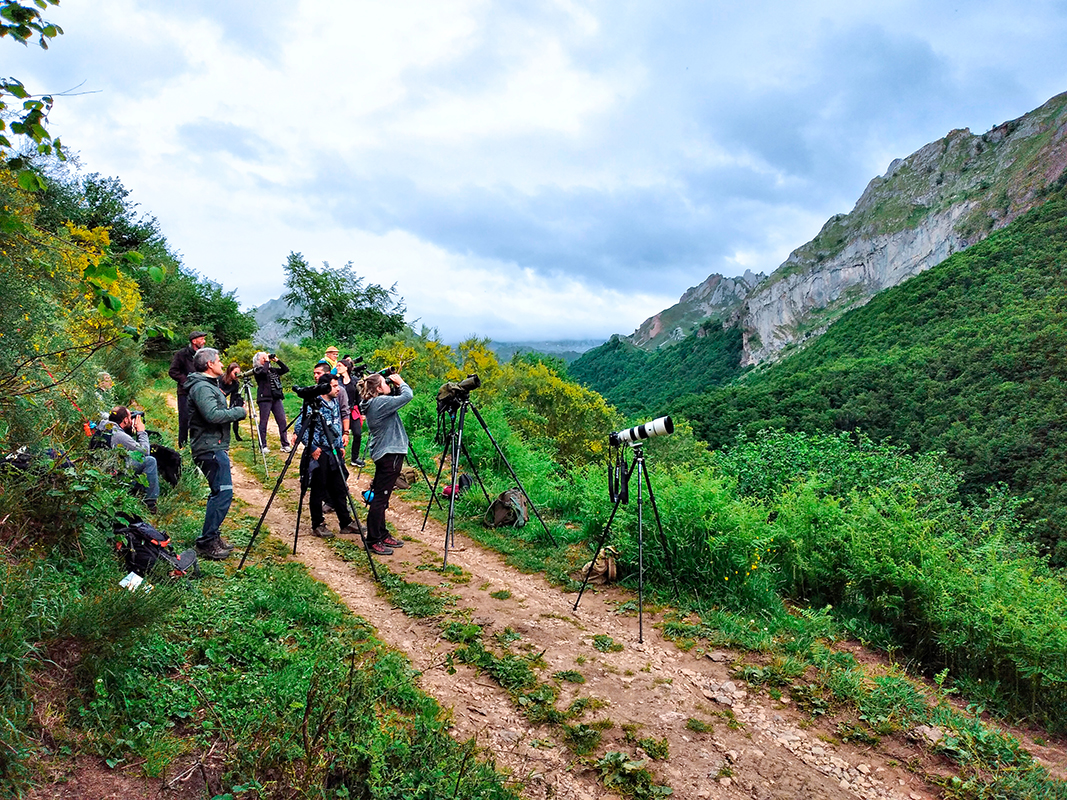 Un groupe de voyageurs en observation dans le parc de Somiedo © Béatrice Mollaret