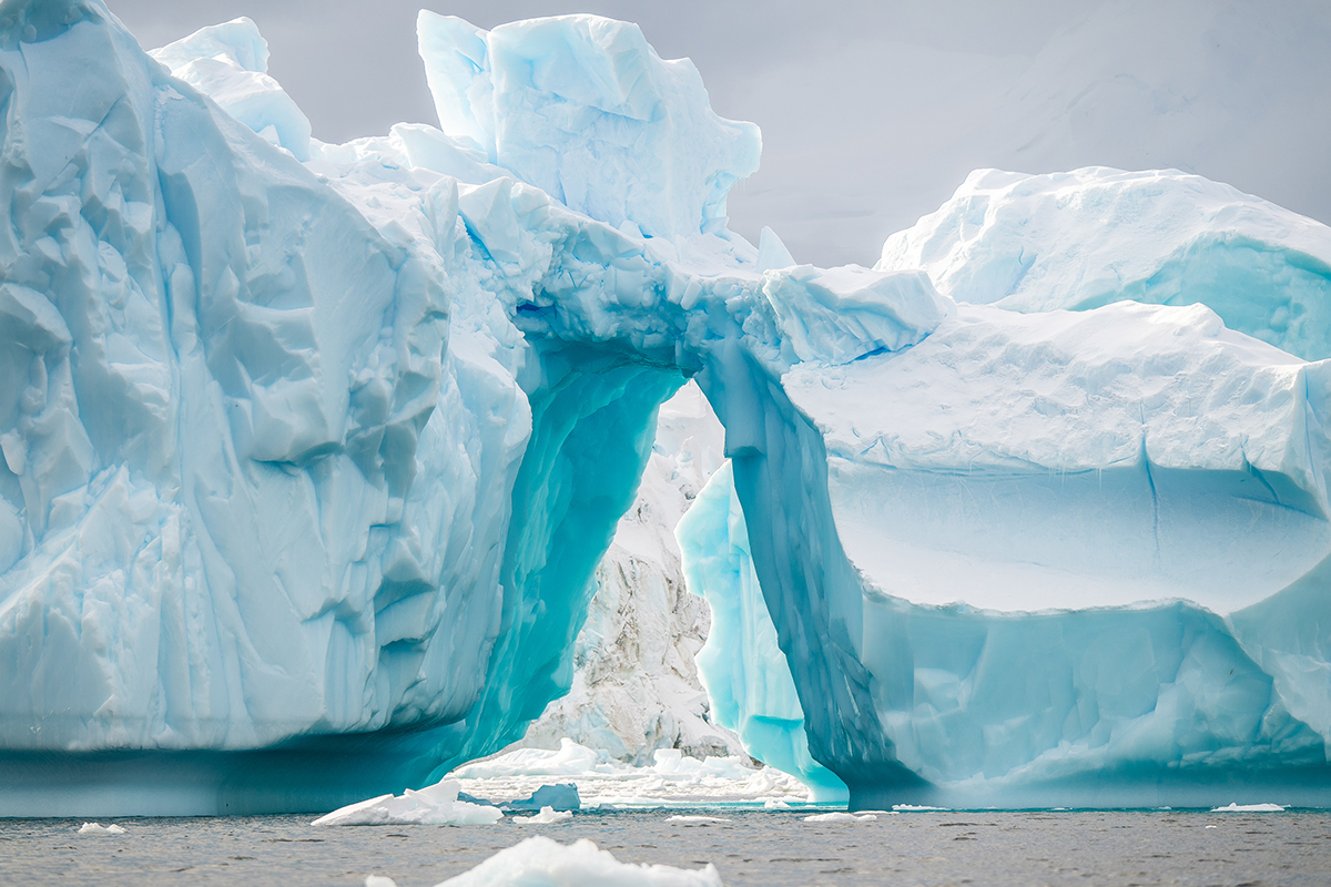 Les icebergs sont en nombre autour de la péninsule Antarctique ©Florian Ledoux