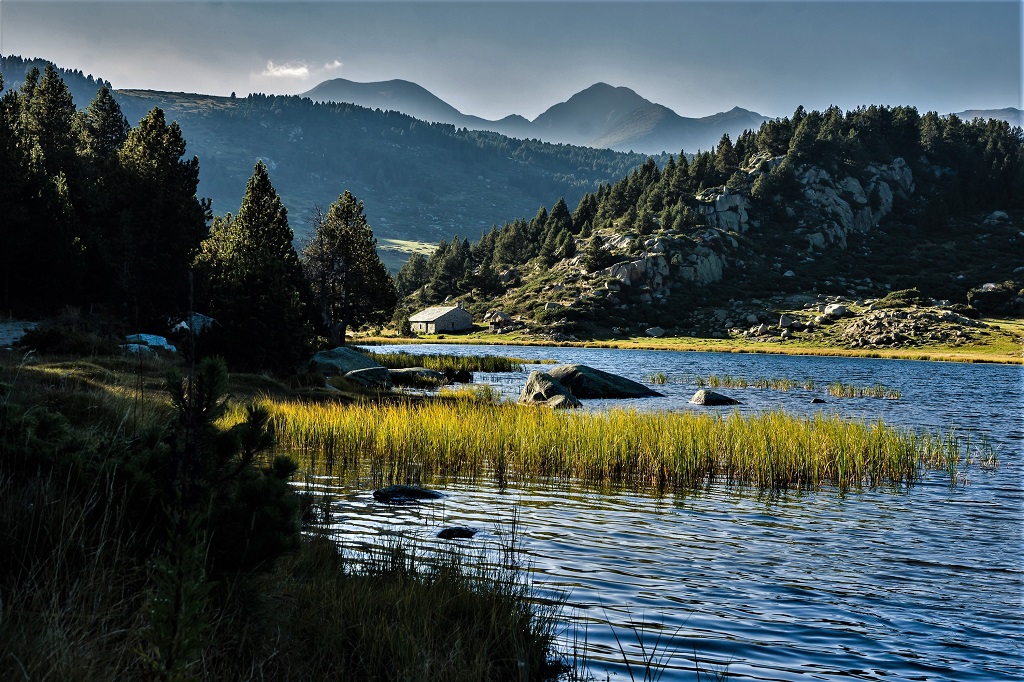 A 1950 mètres d'altitude, l'estany de la Pradella, ou lac de Pradeilles, est un lieu idyllique, entouré de pins et d'herbes folles - ©Lefalherjeanluc / Adobe Stock