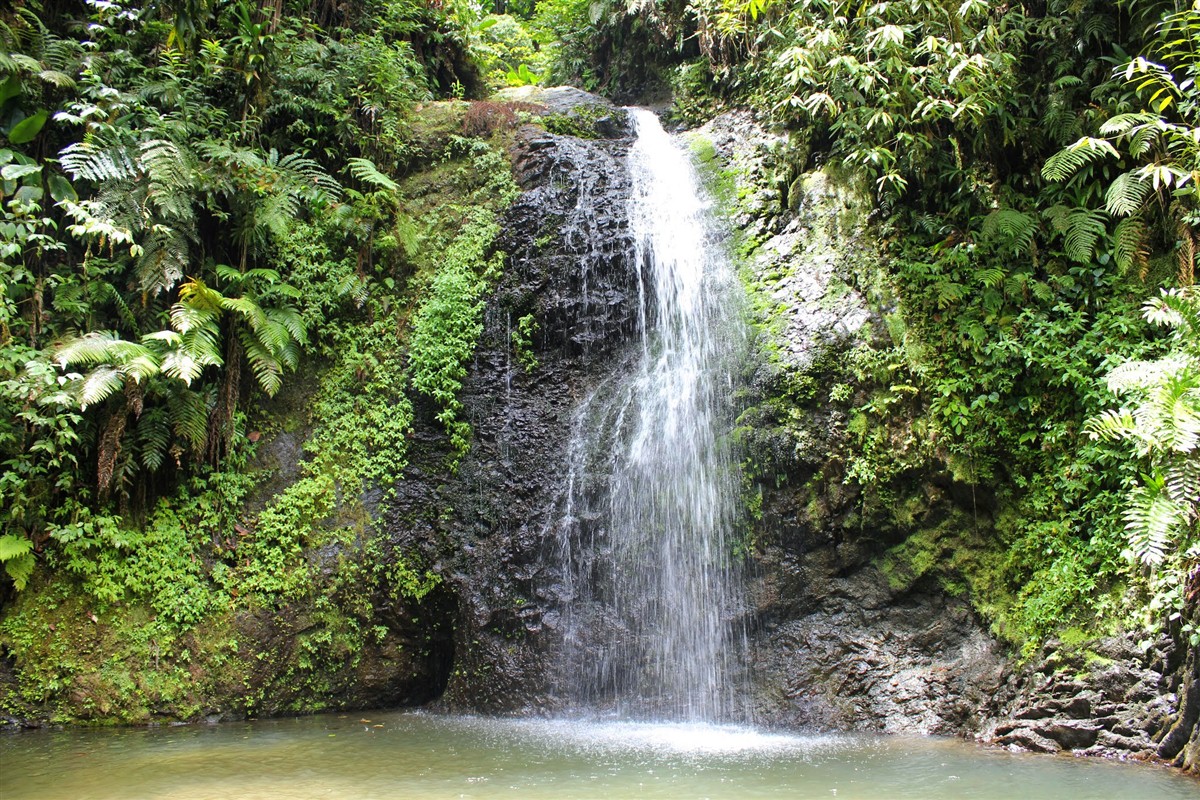 Baignade aux Antilles