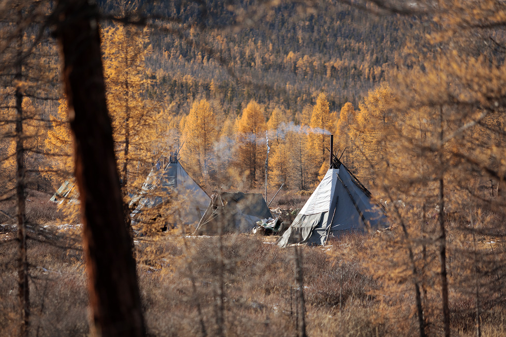 Des tipis se dressent en bordure de taïga. À l’arrivée des premières neiges, les Tsaatan quitteront les lieux pour dresser leurs tipis au camp d’hiver, à quelques kilomètres de là - ©Brice Portolano