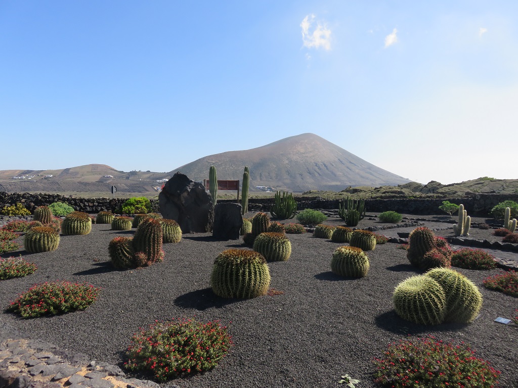 Jardin de Cactus, Cave La Geria