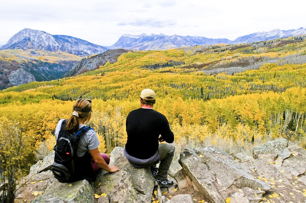 Forêt près de Crested Butte