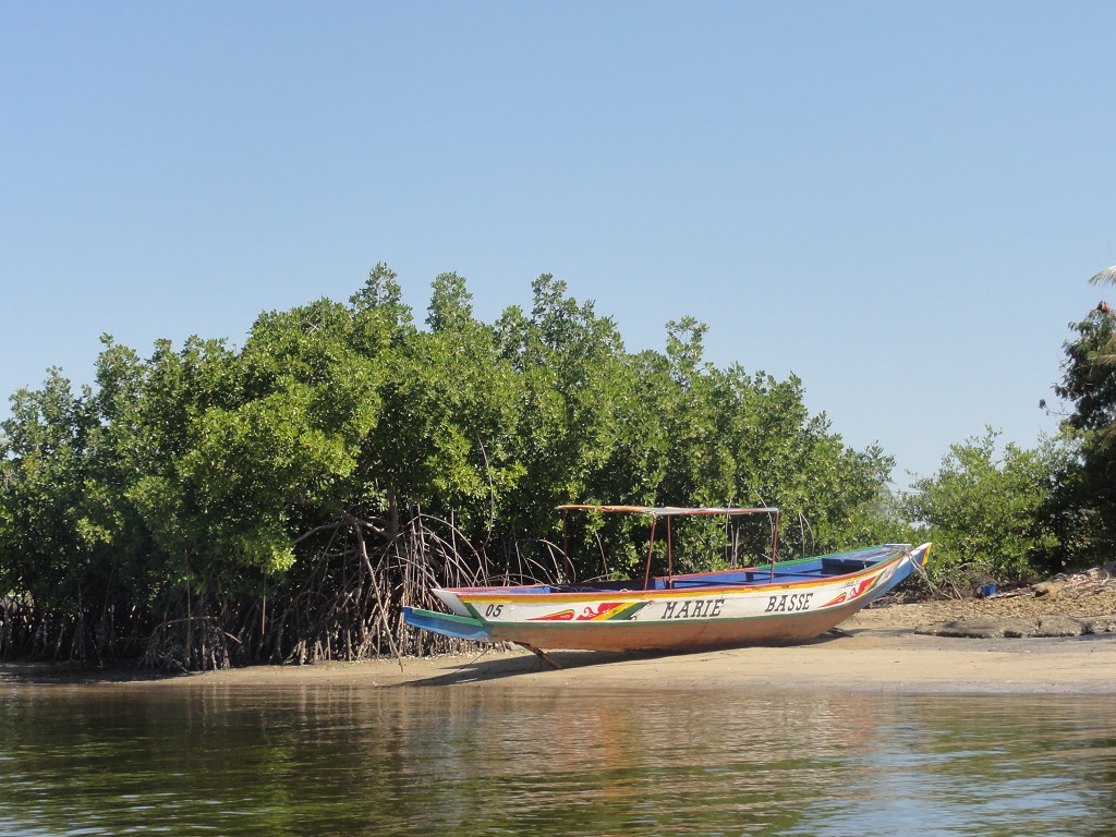 Pirogue sur les rives du fleuve Casamance