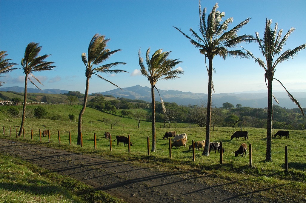 Guanacaste, Costa Rica - ©Hélène Franon