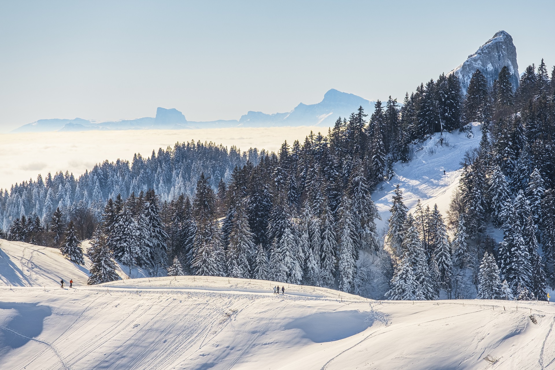 Ambiance de neige sur les plateaux du Vercors.