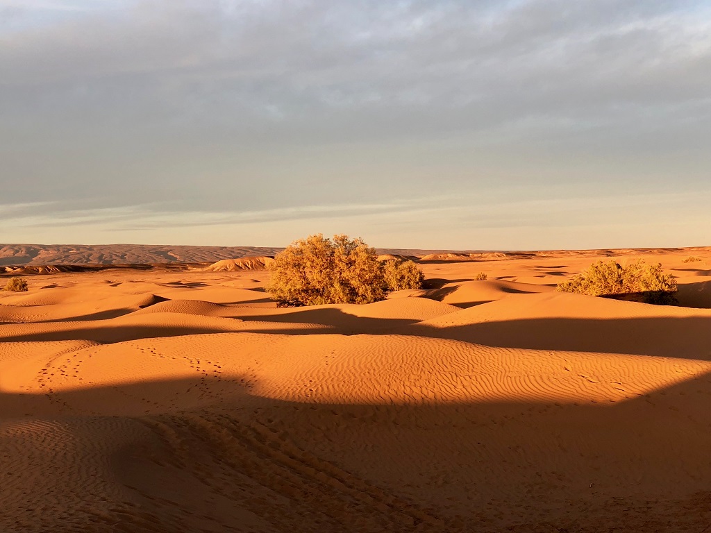 Le coucher de soleil aux couleurs rougeoyantes illumine le paysage dunaire du sud marocain