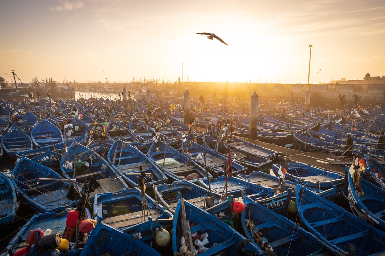 Port d’Essaouira - Appareil photo : Canon EOS RP. Objectif : RF 15-30mm. Exposition : 1/200s à F/8. ISO 250. - ©Mathieu Dupuis