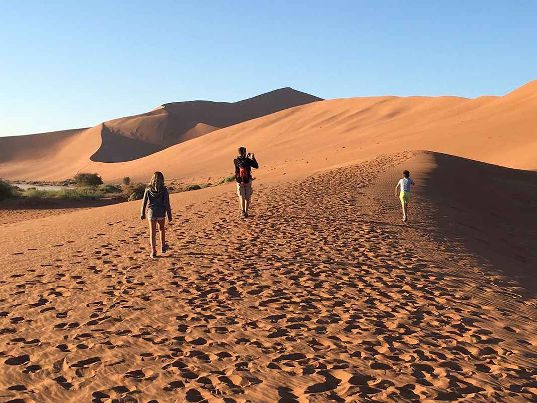 Safari en Namibie