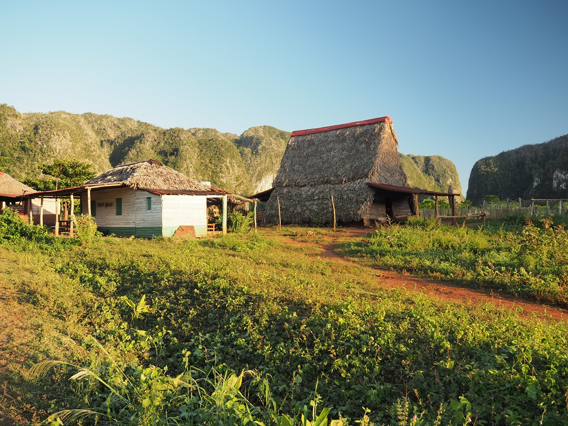 Dans la région de Vinales, la vie est restée rurale © Thomas Callens