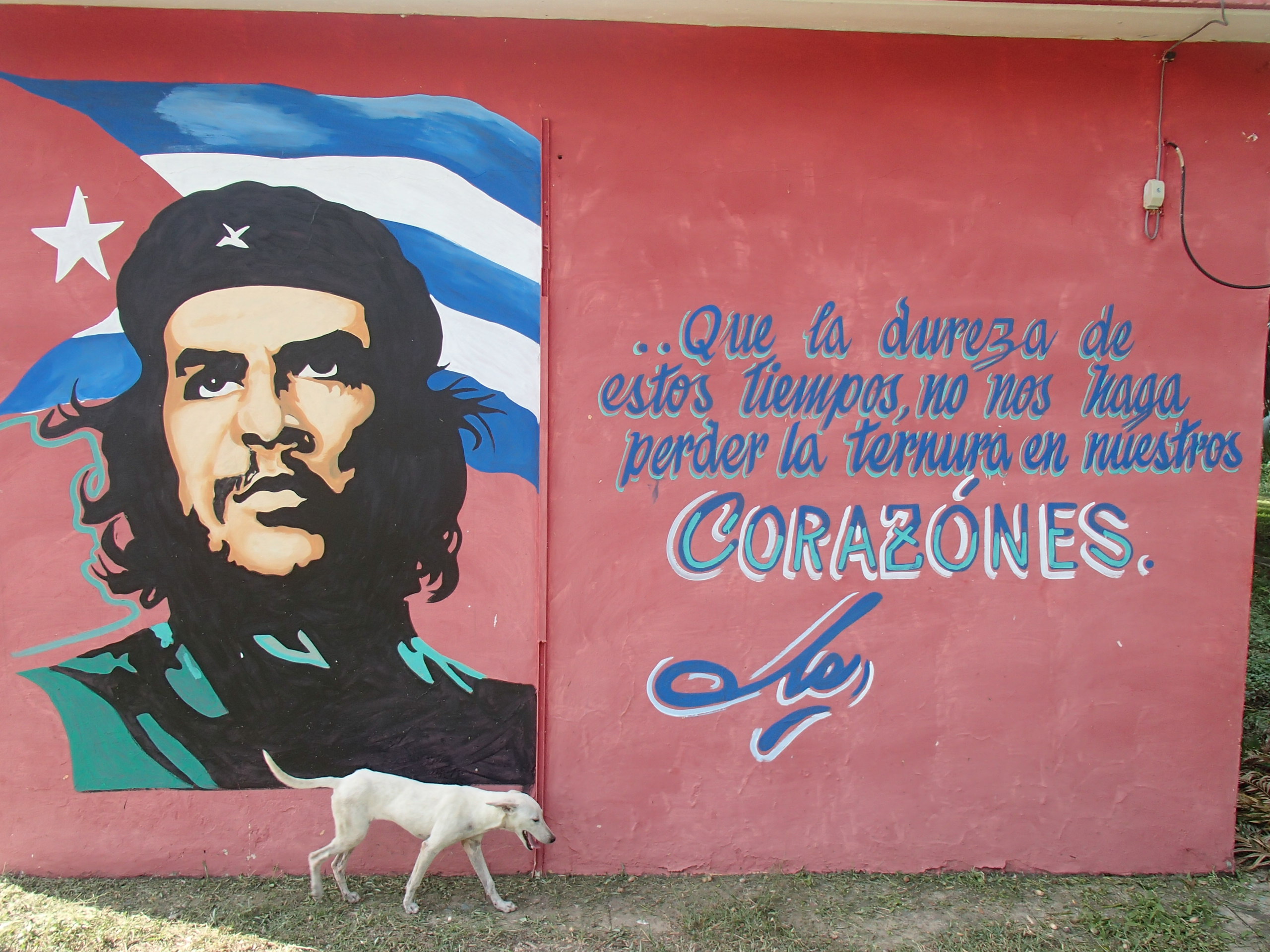 Les représentations de Che Guevara ponctuent le voyage ©Manon Le Pelley