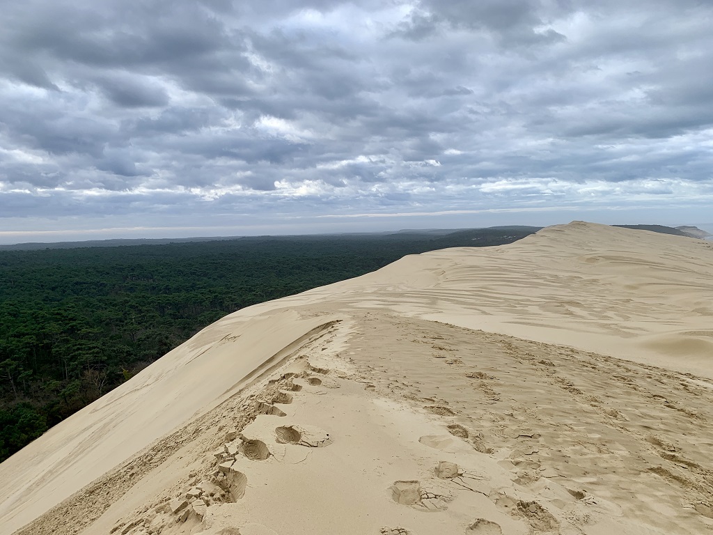 A l'assaut des dunes d'Arcachon