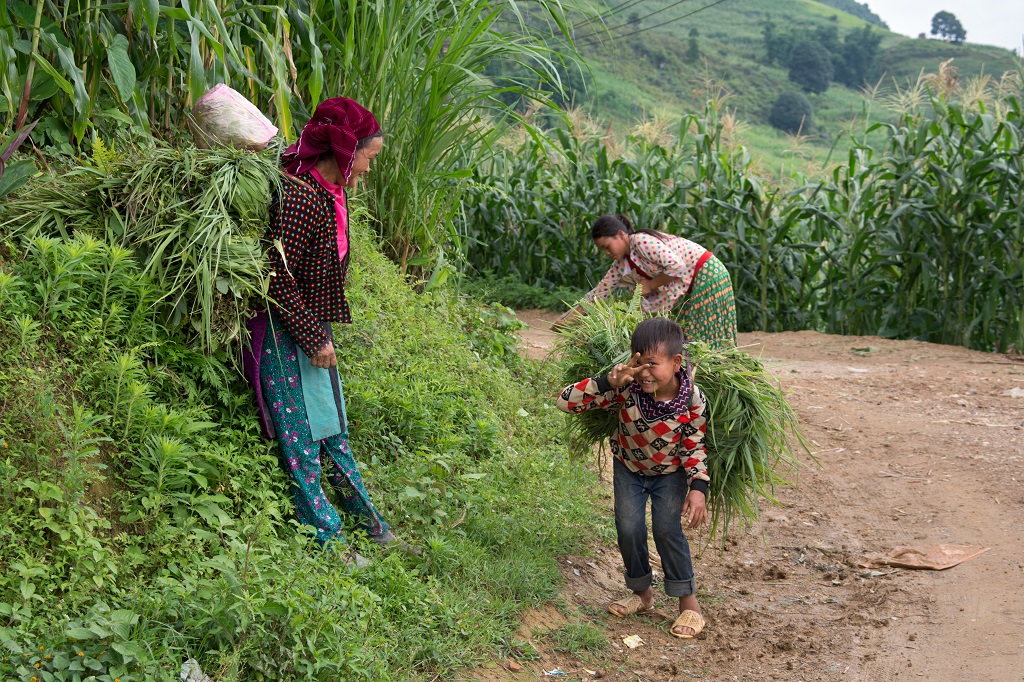 Paysans Hmong dans les environs du village de Yen Binh, plateau de Dong Van