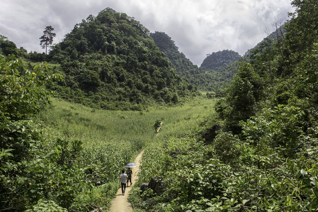 Massif de Mo Xat, dans les environs du village de Nam Ngu