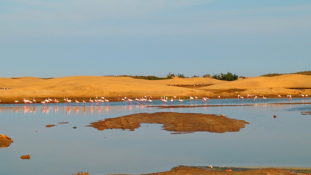 Walvis Bay, Erongo