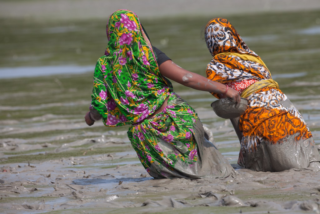 Ces femmes retournent au village après avoir ramassé des propagules de palétuviers